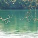 29.10.12 A bike ride around Parc de La Tete d'Or