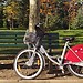 29/10/12: Promenades dans le Parc de La Tete d'Or en Vélo'V