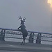 Омина Абдужабборова