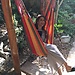 Paula González