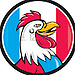 chicken PFP