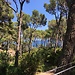 3 pueblitos para ver en Girona en un día