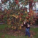 botanical gardens