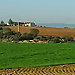 Tere Mansilla Navalon