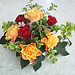 Anne-Rose