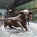 THE BULLRING