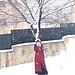 Maryam