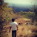 Paras
