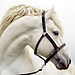 Esme