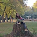 Anna Ni
