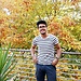Aman