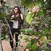 Noelia