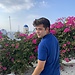 Julen