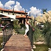 Marisol