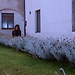 Chiara