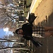 Nerea Gomez