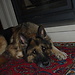 Sara =)
