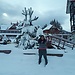 Mehrnaz