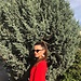 Nazlı