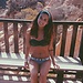 Catarina