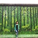 Ceyda