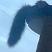 Qianyu