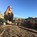 Isabel