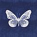 Zhuwan