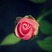 Mohamad