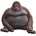 Jorge