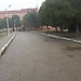 Ual