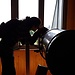 Hazem