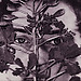 Violeta