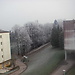 Campus helado
