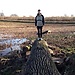 20 years old male on a work placement looking for accommodation in Amsterdam