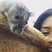 Mishelle