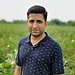 Jignesh