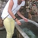 Laura Jacques