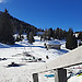 giuliano galizioli