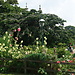 Royal Pavillion Gardens