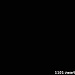 5e2e857538642851ff7bc1f7533cabd4
