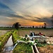 manvir