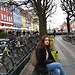 Bilingual student looking for shared accomodation