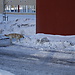 Untitled photo