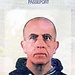 Pino