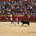 Fiestas de Valdetorres del Jarama (Septiembre)