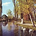 Untitled photo