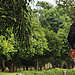 janakiram