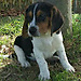 Martín