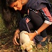 nisharthini
